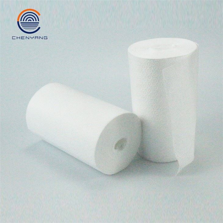 Nonwoven Wipe factory